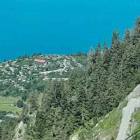 Superbe En Montagne Vue Leman 톨롱